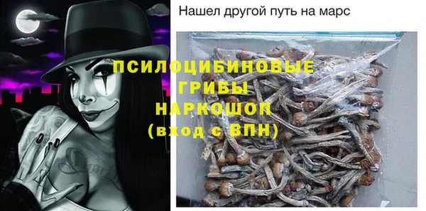 a pvp Абаза